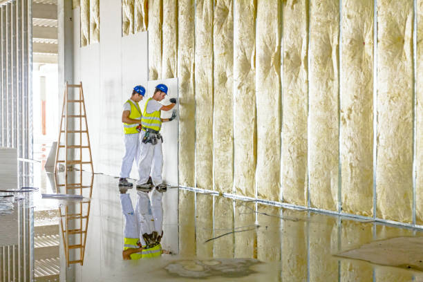Best Insulation Maintenance and Repair in West Jordan, UT